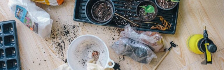 Descubre las herramientas de jardinería básicas y cómo organizarlas