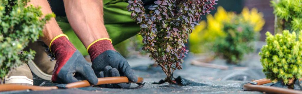 Descubre qué son los jardines sostenibles y de bajo mantenimiento, que plantas los caracterizan, quienes los diseñan y cómo contribuyen a una vida más eco-friendly.