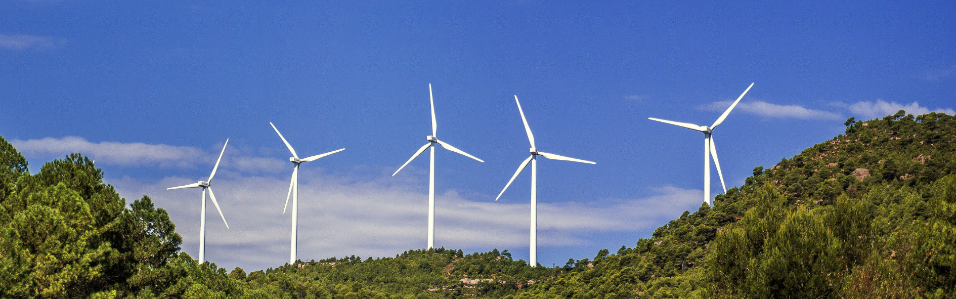Conoce qué es la energía eólica, los tipos de energía eólica que existen y sus principales ventajas.